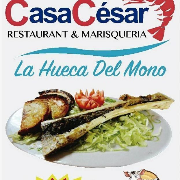 Cocina 100% orgánica Casa Cesar &quot;La Hueca Del Mono&quot;